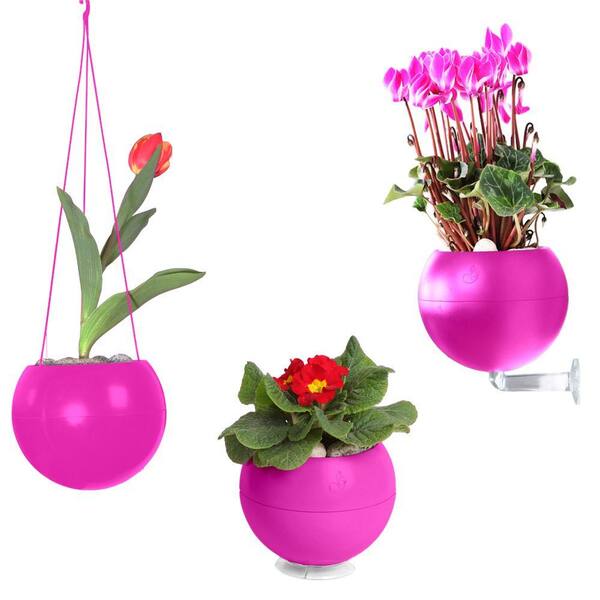 Greenbo 7 in. x 6 in. x 7 in. Pink Plastic, Table, Wall and Ceiling Planter (3-Pack)