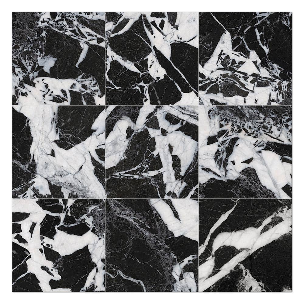 Senzia Antique Noir 7.87 in. x 7.87 in. Matte Porcelain Tile Sample price history on PriceWatchPro