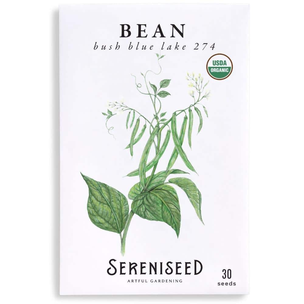 Organic Bush Blue Lake 274 Bean Seed Packet (30 Seeds)