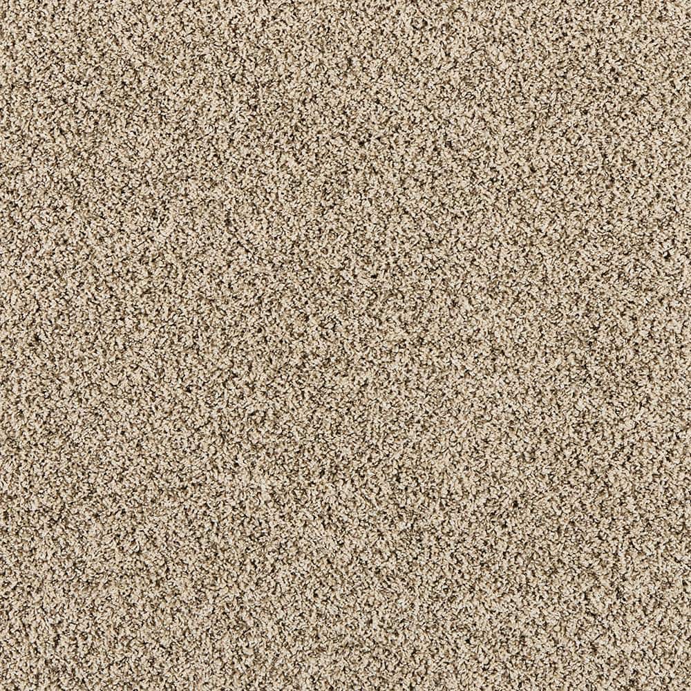 8 in. x 8 in. Texture Carpet Sample - Radiant Retreat III  - Color Dune price history on PriceWatchPro