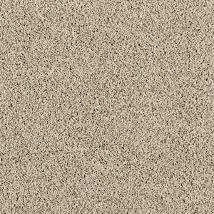 8 in. x 8 in. Texture Carpet Sample - Radiant Retreat III  - Color Dune