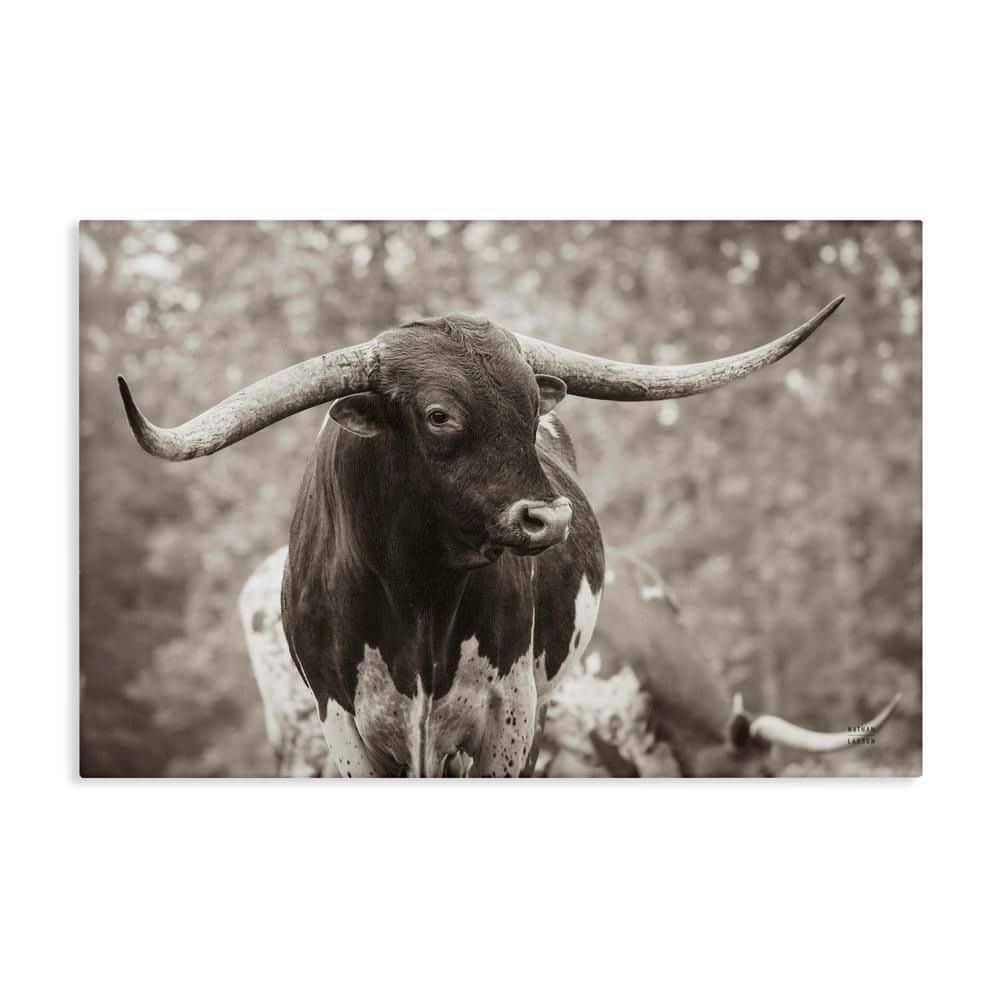 Longhorn's Gaze Photography by Nathan Larson Unframed Animal Graphic Art Print 24 in. x 36 in. price history on PriceWatchPro