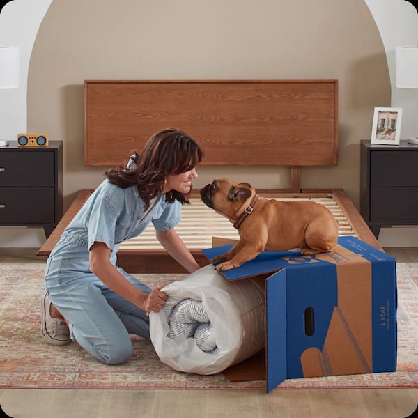 Sealy Dreamlife Twin Medium-Firm Memory Foam 8 in. Bed-in-a-Box