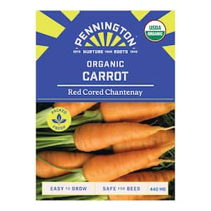 Organic Red Cored Chantenay Carrot Vegetable Seeds