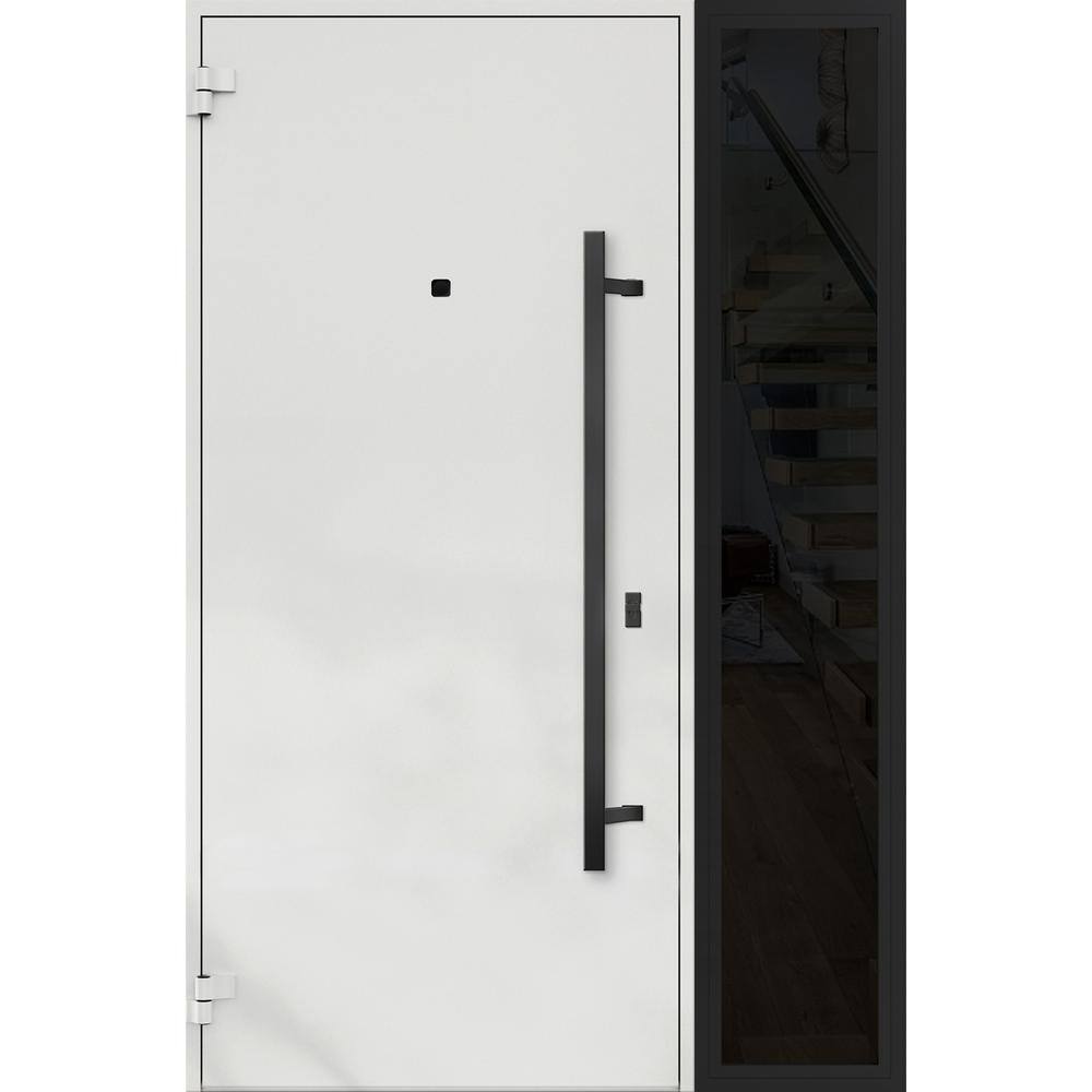 Modern Black Metal Exterior Prehung Door with Sidelites