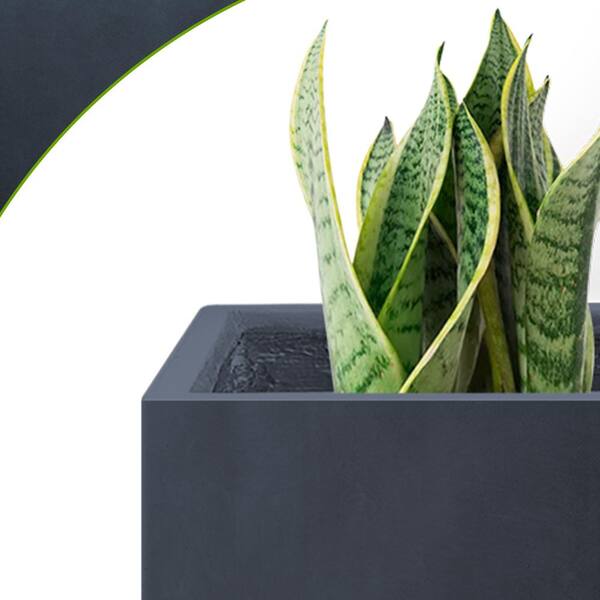 Harmony 7 Planters Indoor Small Succulent Planters Planter With