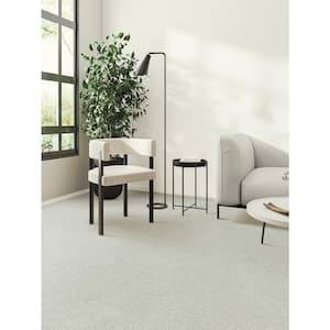 Blissful II - Cheerful Gray - 60 oz. SD Polyester Texture Installed Carpet