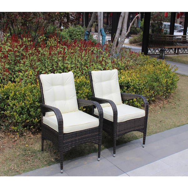 Cesicia Liberatore Wicker Outdoor Dining Chairs with Beige Cushions (2-Piece)
