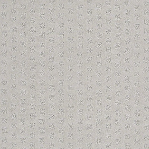 Crown - Rain Drop - Gray 42.1 oz. Nylon Pattern Installed Carpet