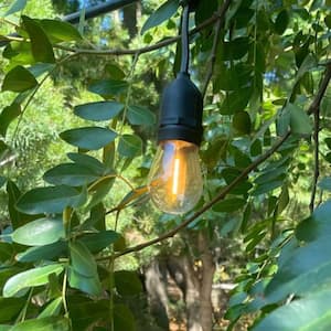 24 Light 48 ft. Outdoor Plug-in LED Edison Bulb Commercial Ready String Light