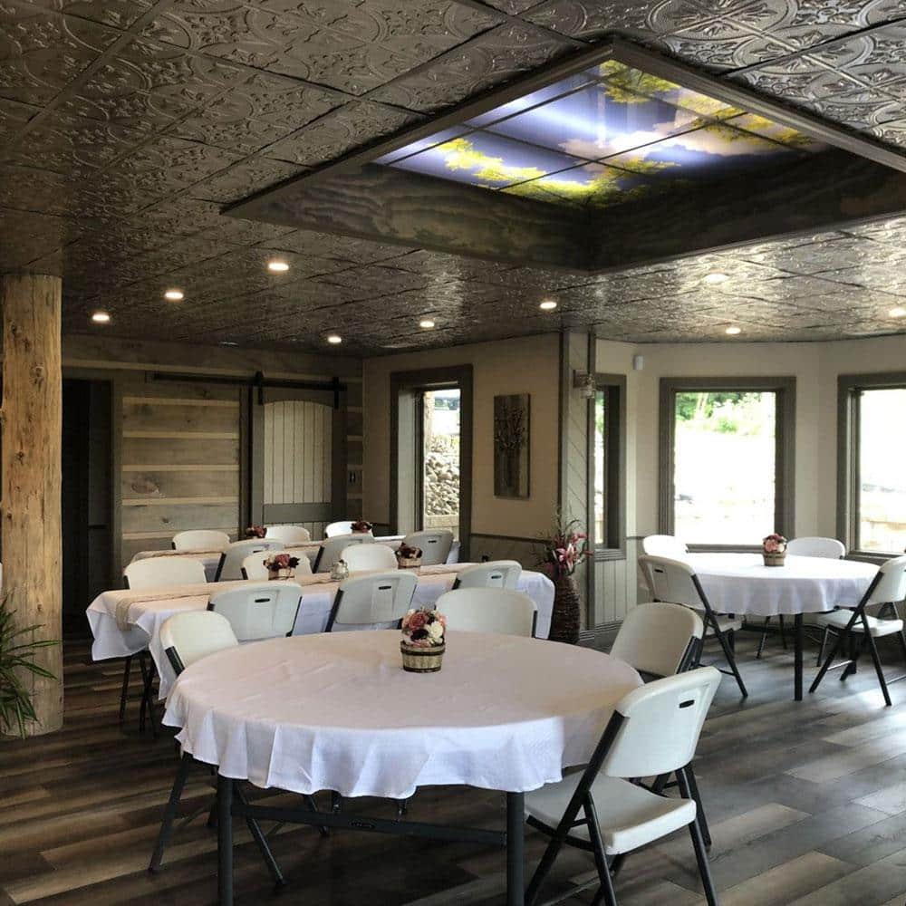 Bronze 2 ft. x 2 ft. Nail-Up Tin Ceiling Tile Set