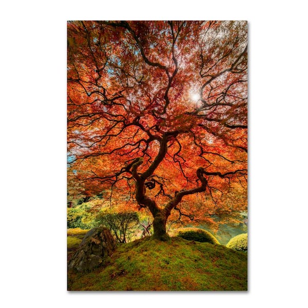 Trademark Fine Art Hidden Frame Landscape Art The Tree Vertical by Moises Levy 12 in. x 19 in.