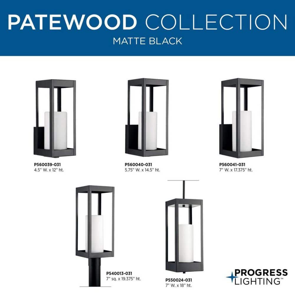 Patewood Black Stainless Steel Outdoor Wall Lantern Sconce