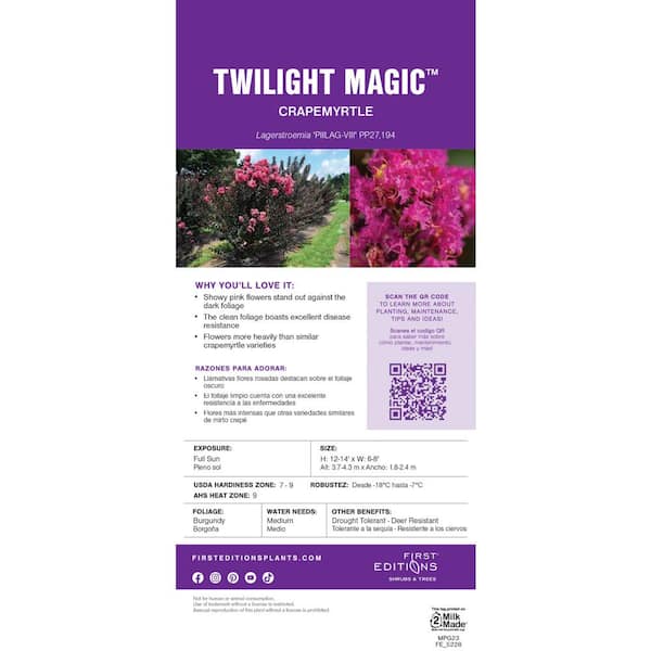 FIRST EDITIONS 7 Gal. Twilight Magic Crape Myrtle Flowering Shrub