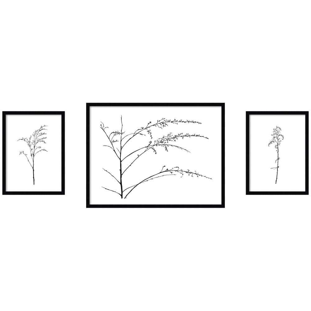 3 Piece Svelte Botanical Sketch Black White by Stephanie Klatt Nature Framed Art Print Set 25 in. x 74 in. price history on PriceWatchPro