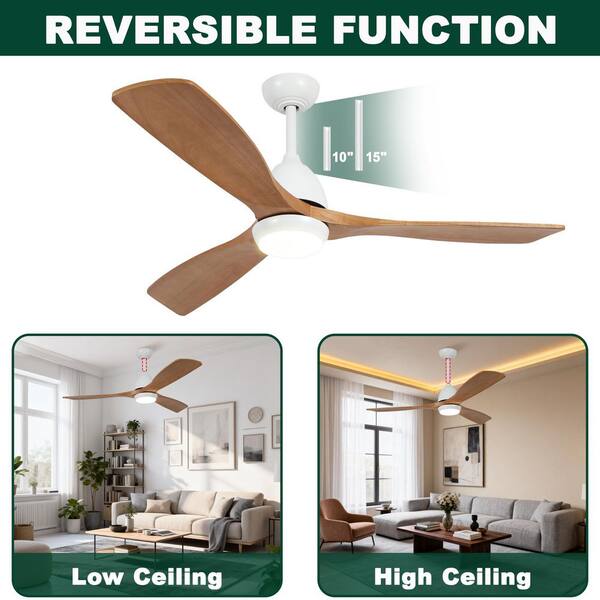 Jushua 52 in. Indoor White Downrod Mount Ceiling Fan with Light