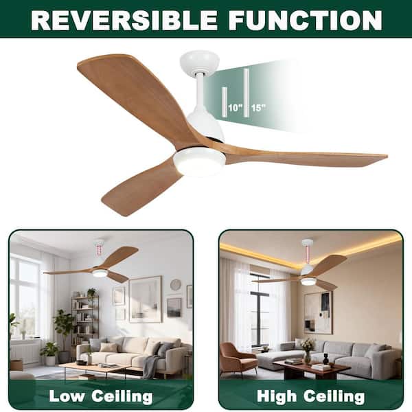 Jushua 52 in. Indoor White Downrod Mount Ceiling Fan with Light