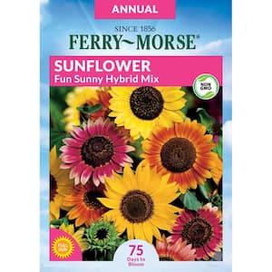 Sunflower Fun Sunny Hybrid Mix Seed