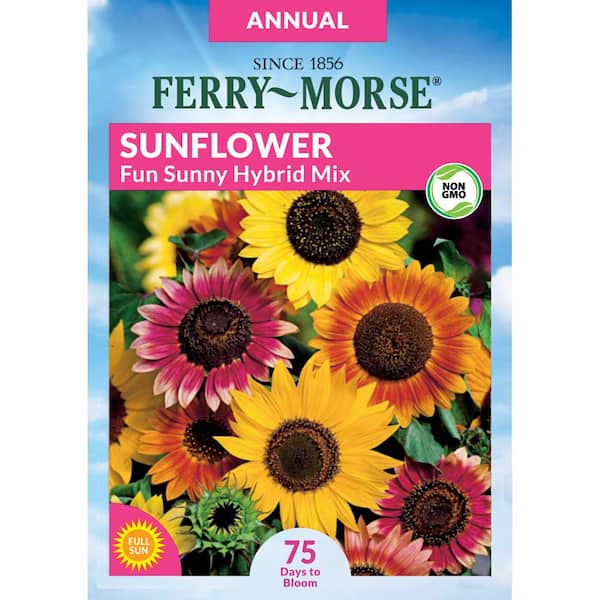 Ferry-Morse Sunflower Fun Sunny Hybrid Mix Seed
