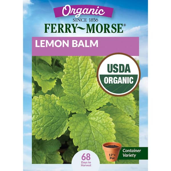 Organic Lemon Balm Herb Seeds