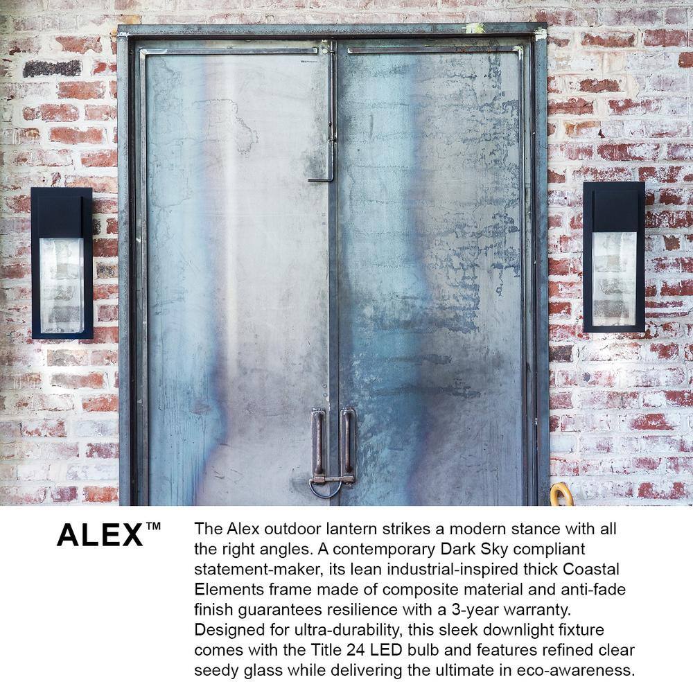 Alex 15.75" Antique Brushed Aluminum LED Outdoor Wall Lantern