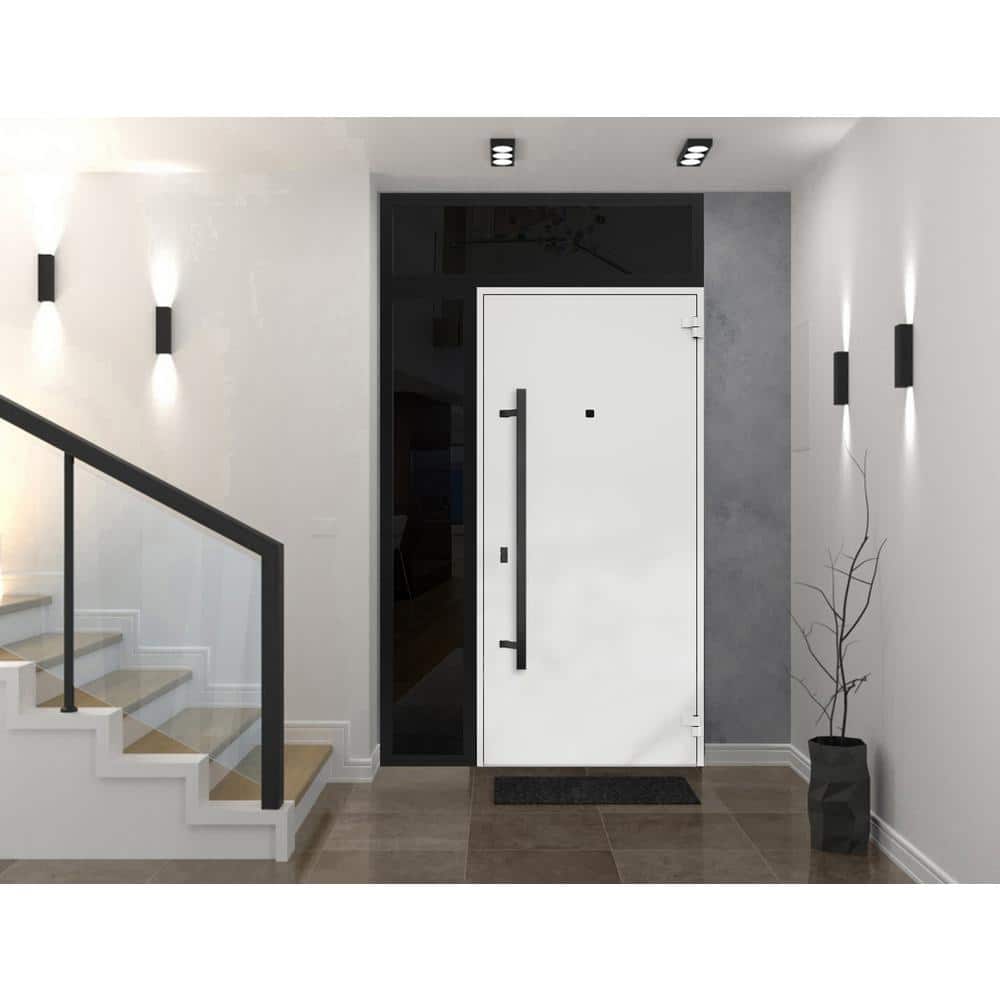 Modern Black Enamel Steel Double Door with Sidelites