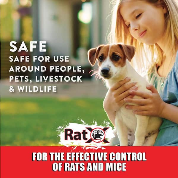 Risks for Pets  Safe Rodent Control