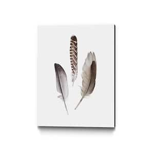 16 in. x 20 in. "Feathers III" by PI Studio Wall Art