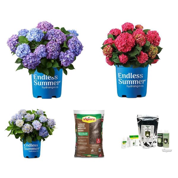 1 Gal. BloomStruck Hydrangea, 1 Gal. Summer Crush Hydrangea, 1 Gal. Original Hydrangea, 2 cu. ft. Brown Mulch and pH Kit