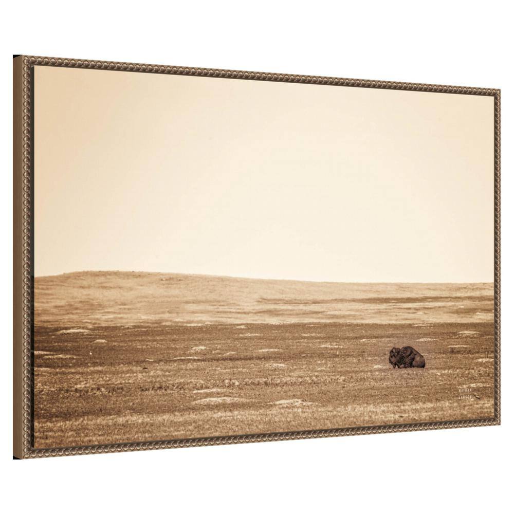 33" x 23" Sepia Bison Landscape Framed Canvas Wall Art