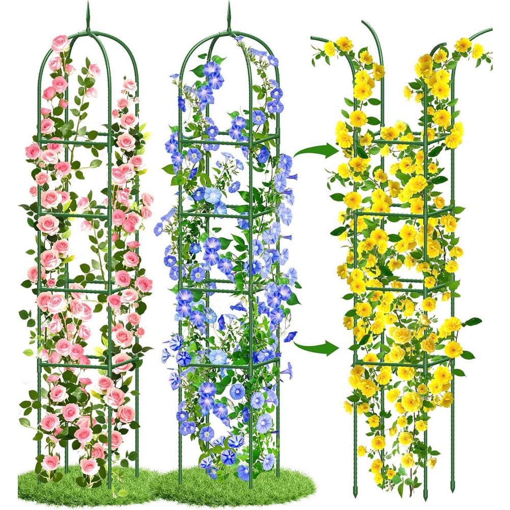 6 ft. Garden Obelisk Rustproof PE Coated Metal Potted Plant Climbing Support, Thickened Tube Plant Tower Trellis(2 Pack) price history on PriceWatchPro