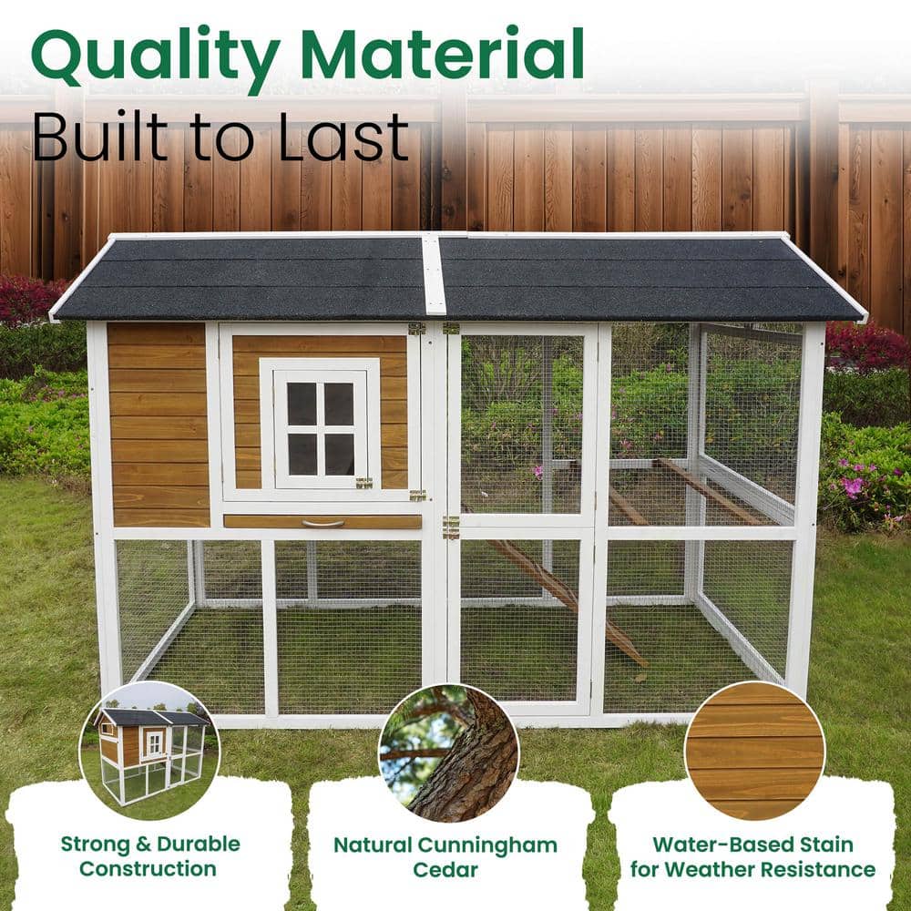 Large White and Brown Wooden Chicken Coop with Asphalt Roof