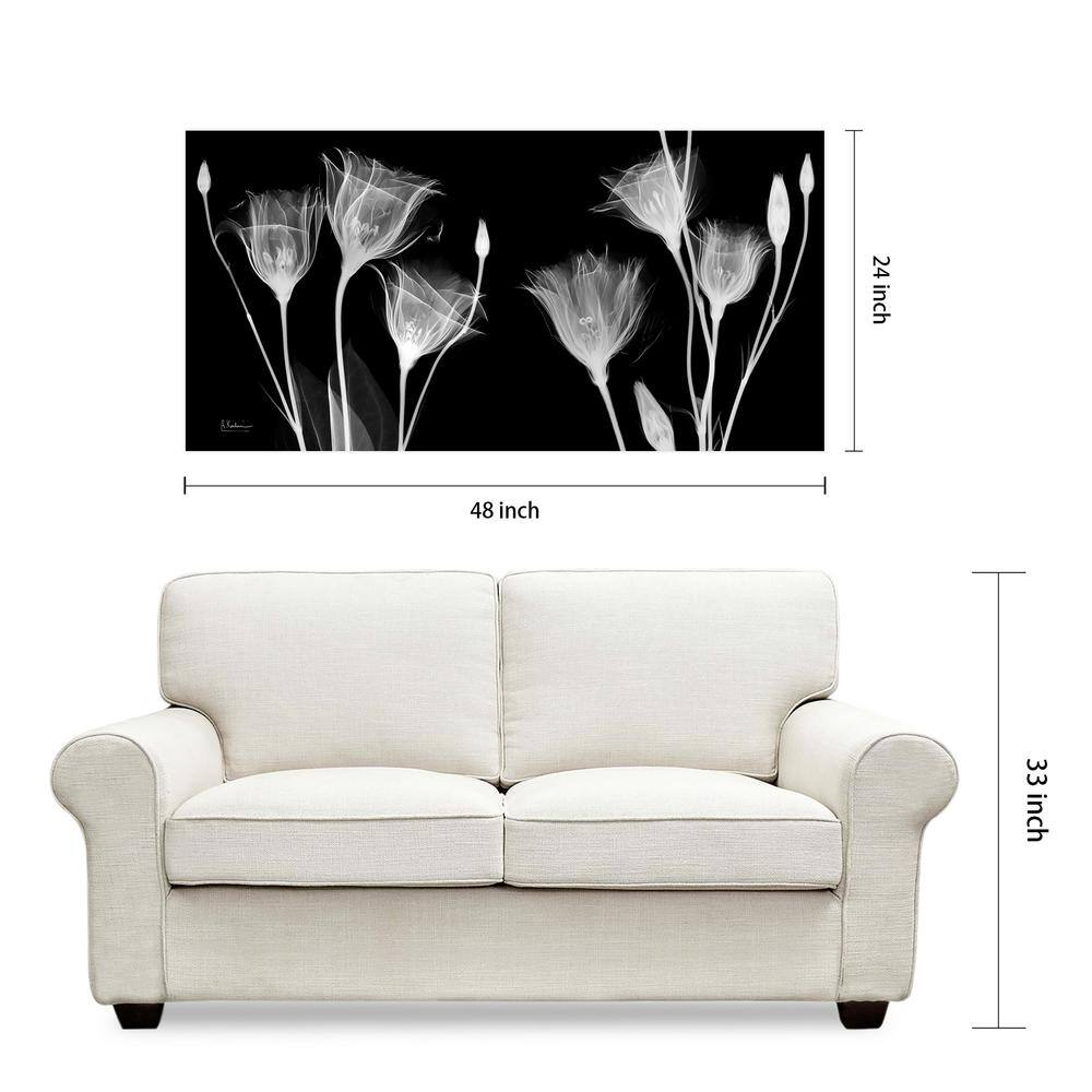 Gentian X-Ray Black and White Tempered Glass Wall Art, 24" x 48"