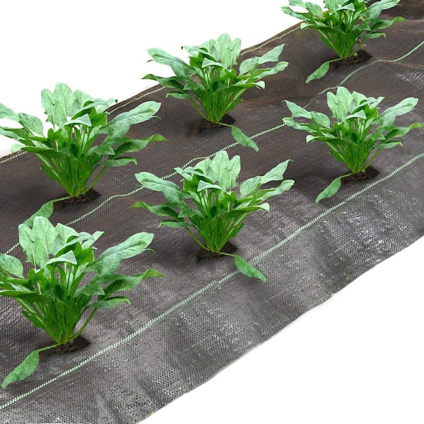 Agfabric 5 ft. x 12 ft. Landscape Fabric Ground Cover Weed Barrier for Weeds Block in Raised Garden Bed