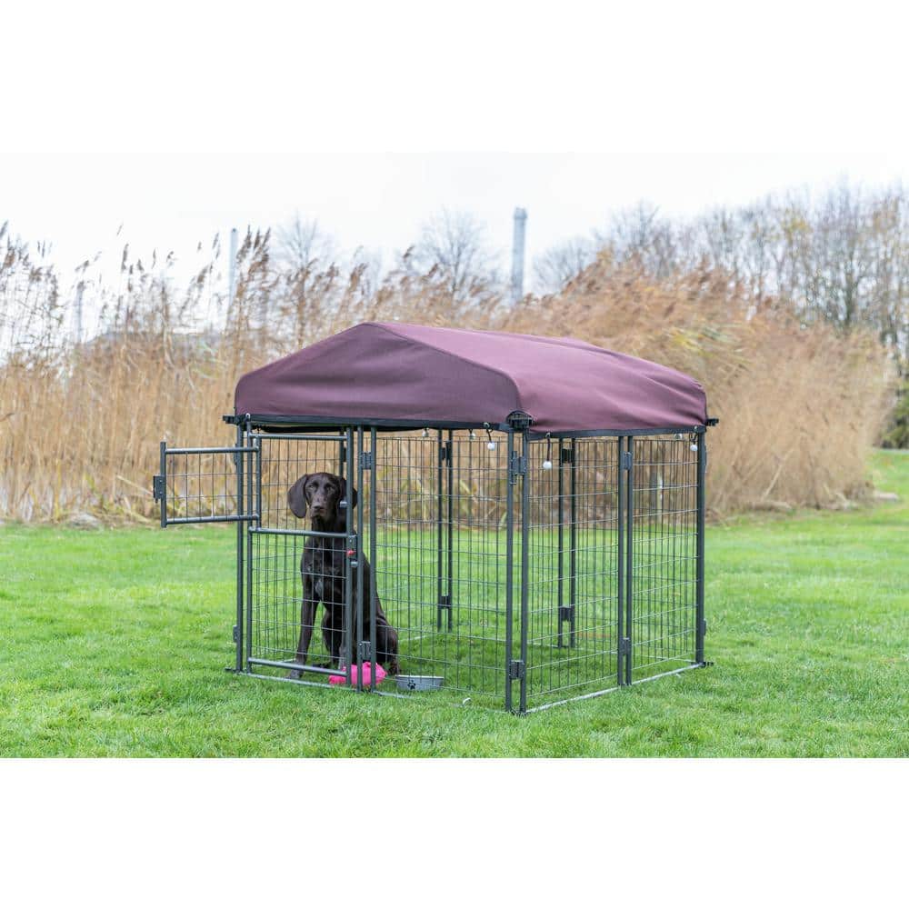 Medium Outdoor Metal Dog Kennel with Cover