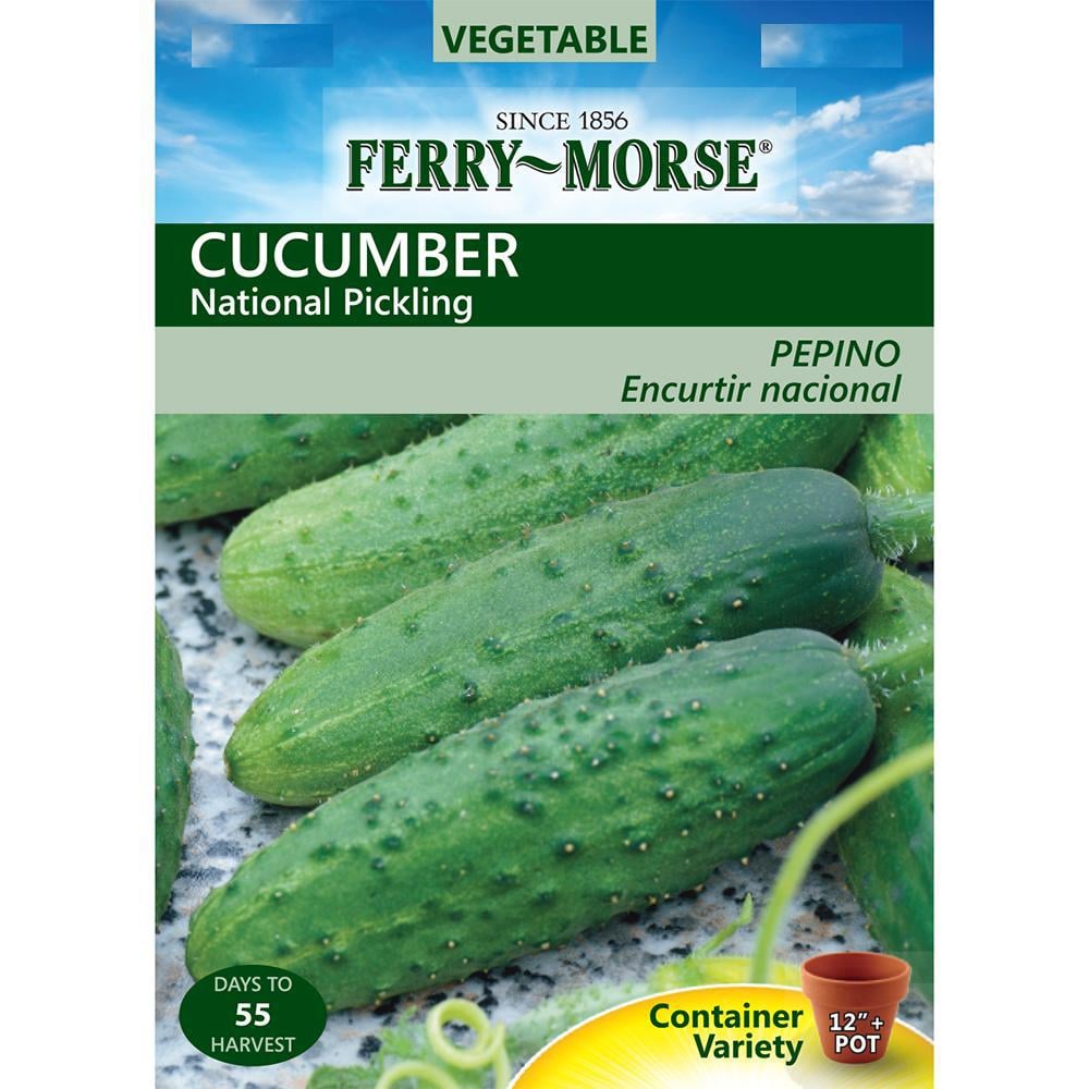 Featured image of post Simple Way to Japanese Cucumber Seeds Home Depot