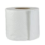 Plush 2-Ply Toilet Paper Rolls (Pack of 12)
