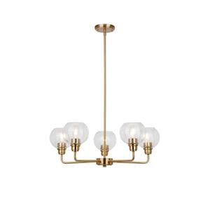Display 5-Light Gold Chandelier Clear Globe Glass Shades