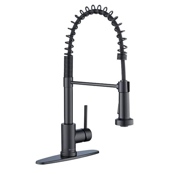 Riverbend Springneck Single-Handle Pull Down Sprayer Kitchen Faucet in Matte Black