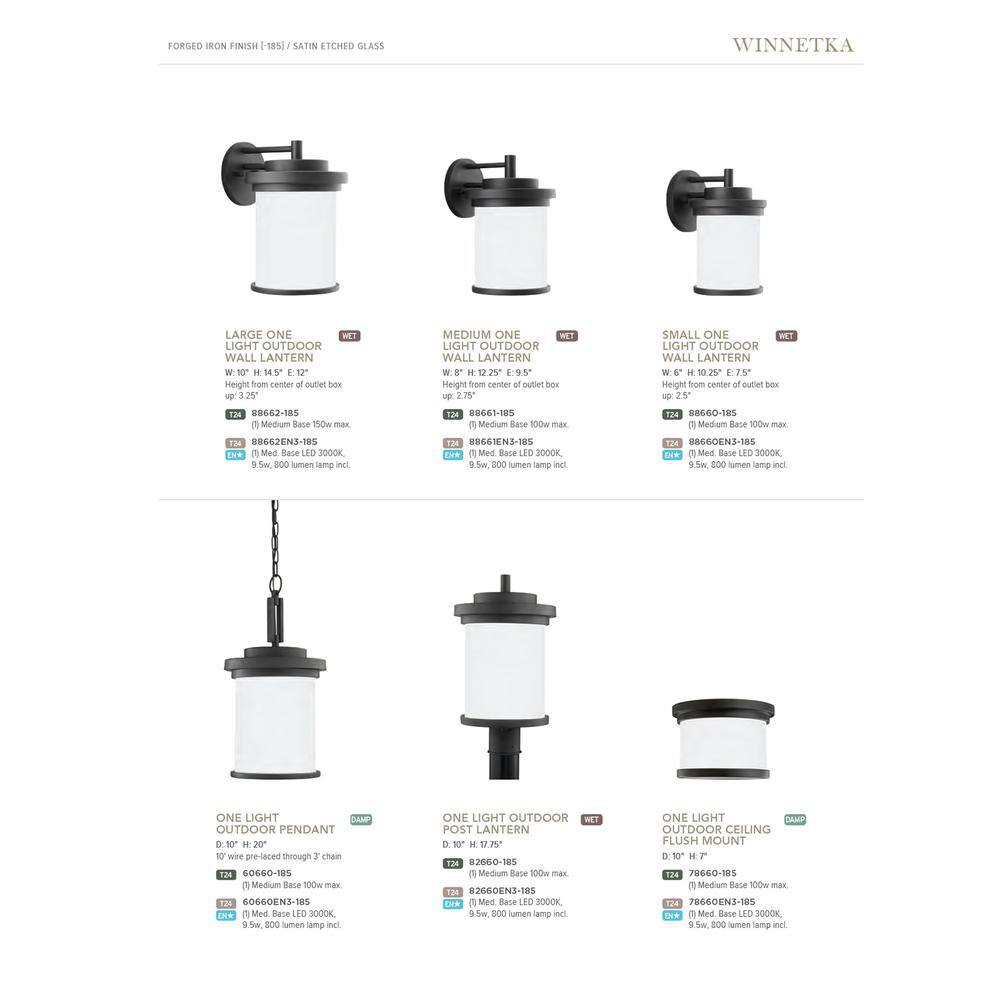 Black Glass Two-Light Outdoor Flush Mount Ceiling Fixture