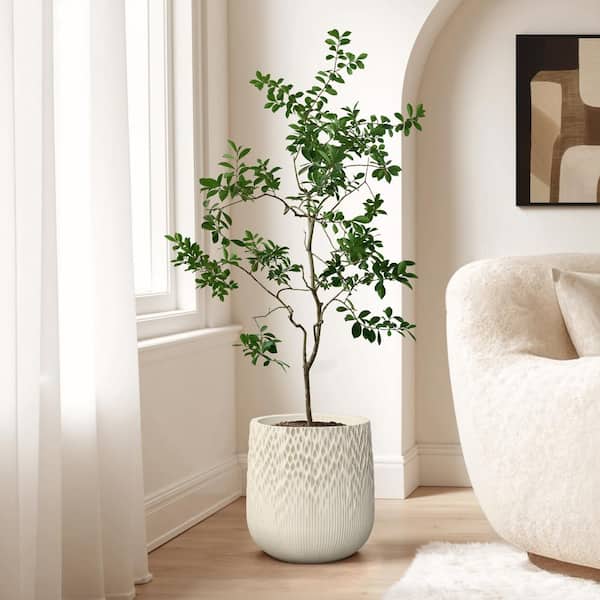 12in plant pot LE TAUCI 12 Inch Pots for Plants, Ceramic Large Planters for Indoor Pl –  LETAUCI main image 1