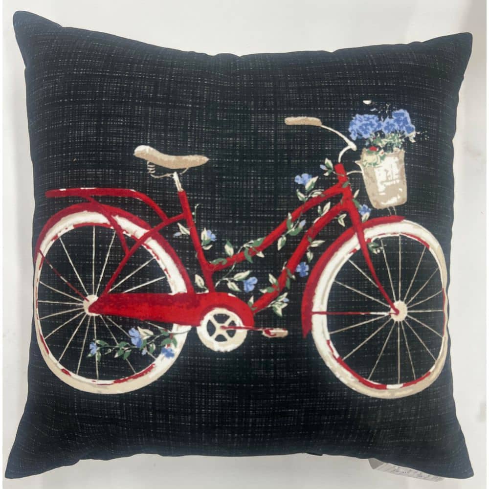 18 in. x 18 in. Outdoor Patio Throw Pillow in Bike price history on PriceWatchPro