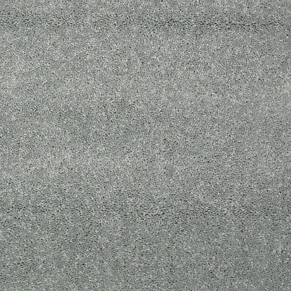 8 in. x 8 in. Texture Carpet Sample - Watercolors I - Color Octopus price history on PriceWatchPro
