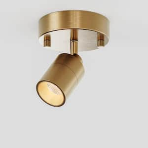 Shura 1-Light Brushed Brass Integrated LED Spot Light w/ Rotatable Light Head, Monopoint Track Light, 3000K, 490 Lumen