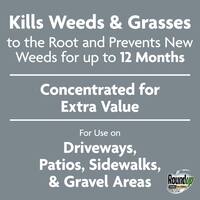 32 fl. oz. Dual Action 365 Weed and Grass Killer Plus 12-Month Preventer Concentrate, Kills, Prevents for up to 1-Year