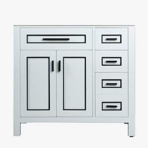 Millan 37 in.W x 22 in.D x 38 in.H Bathroom Vanity Cabinet Only without Top in White