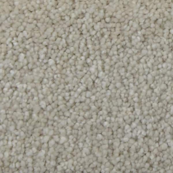 Home Decorators Collection 8 in. x 8 in. Texture Carpet Sample Spicework II Color EF