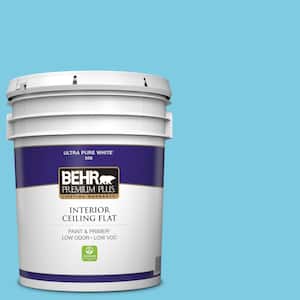 5 gal. #P490-3 Big Chill Ceiling Flat Interior Paint