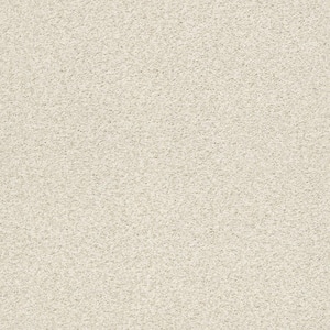 Karma II - Origin - Beige 50.5 oz. Nylon Texture Installed Carpet