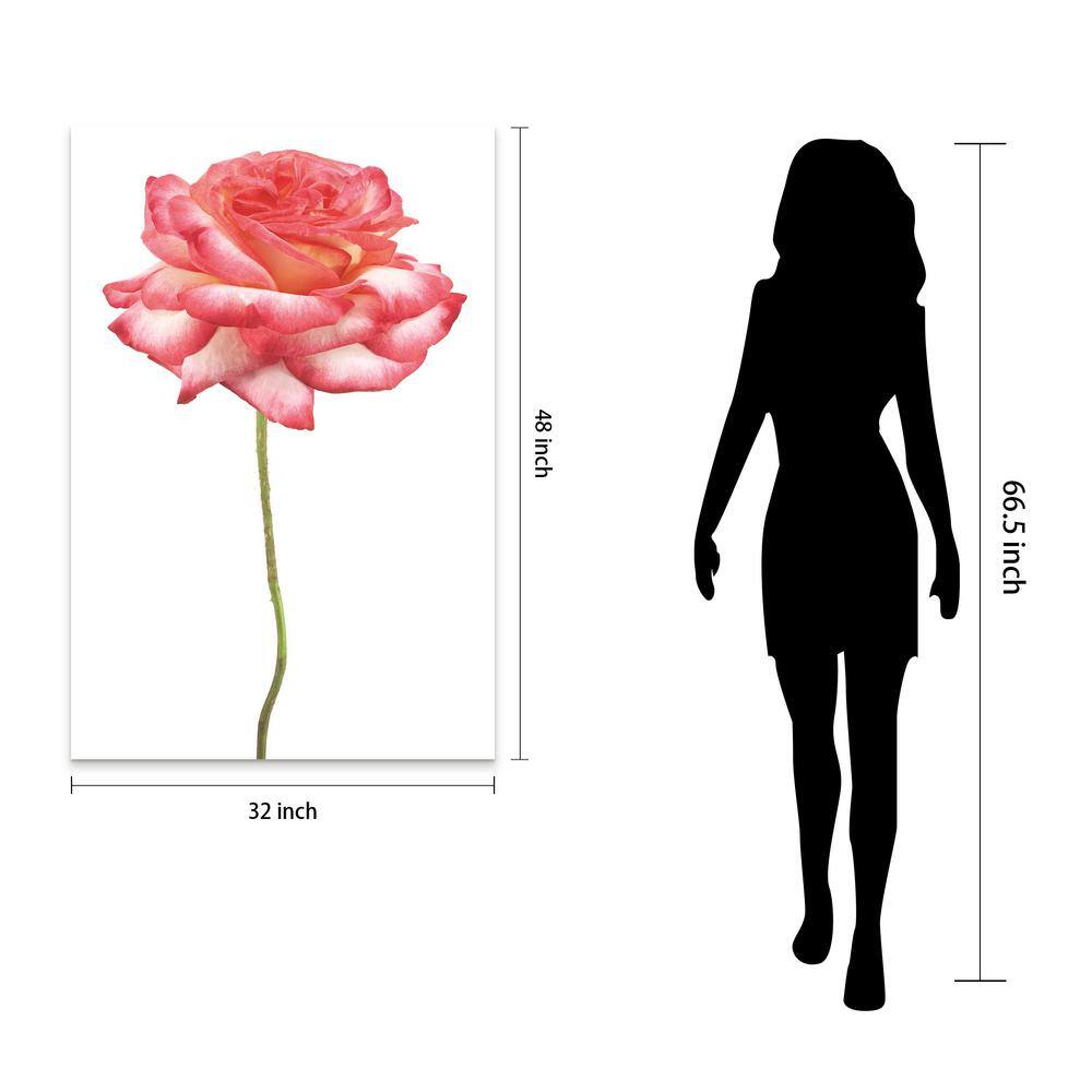 Pink Rose on White Tempered Glass Landscape Wall Art